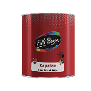 Filli Kapatan Leke Örtücü Boya 0,75lt